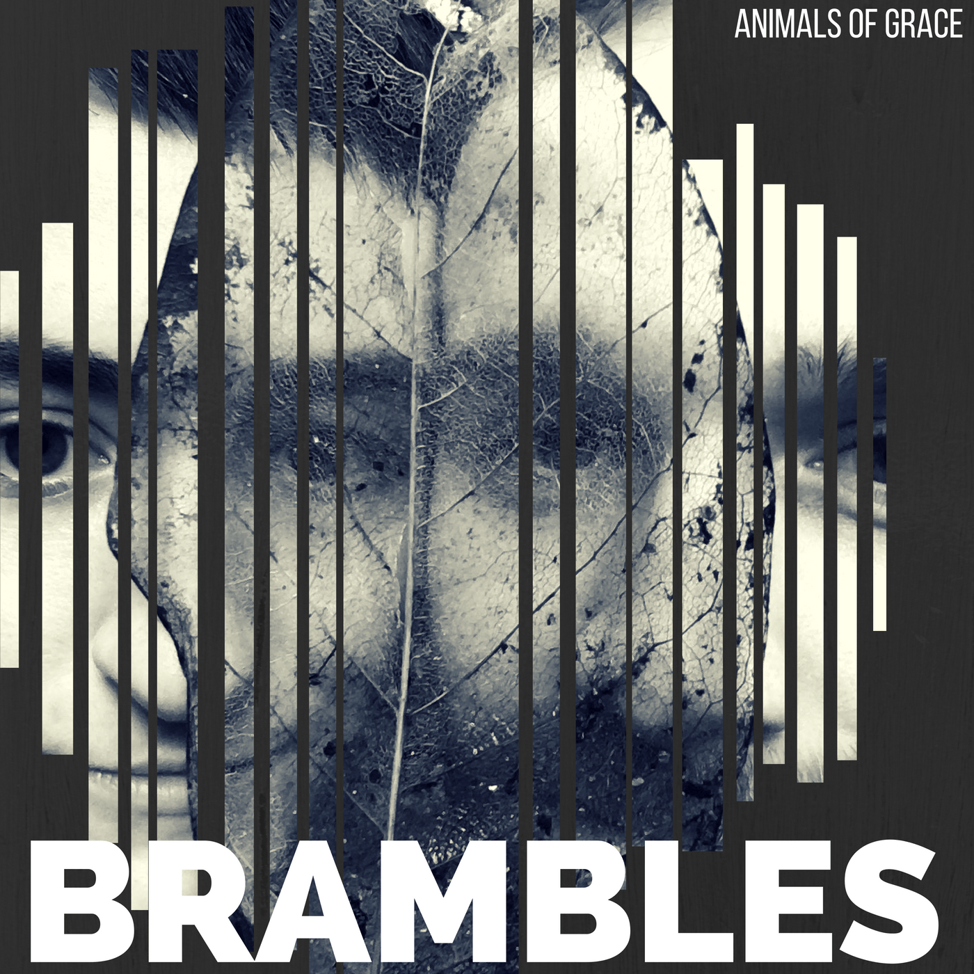 brambles-cover