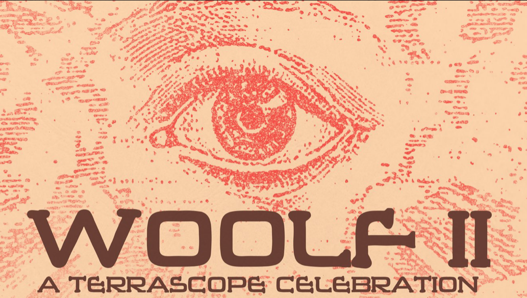 The Woolf Music II festival