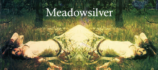 meadowsilverbanner.jpg