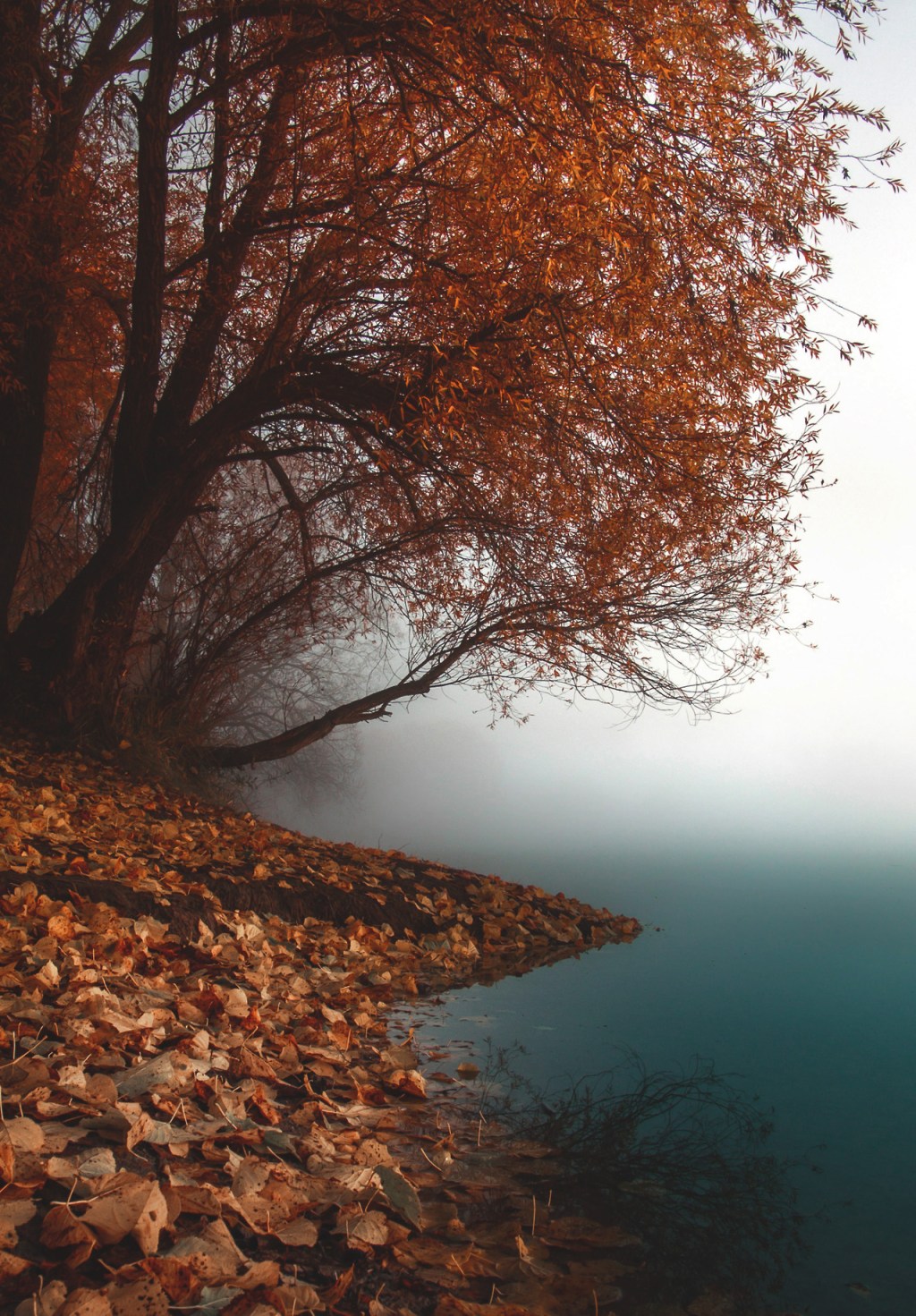 The Record Crates United Mixtape Autumn Special on Dunebuggyradio.com Tonight @ 8pm&nbsp;EST