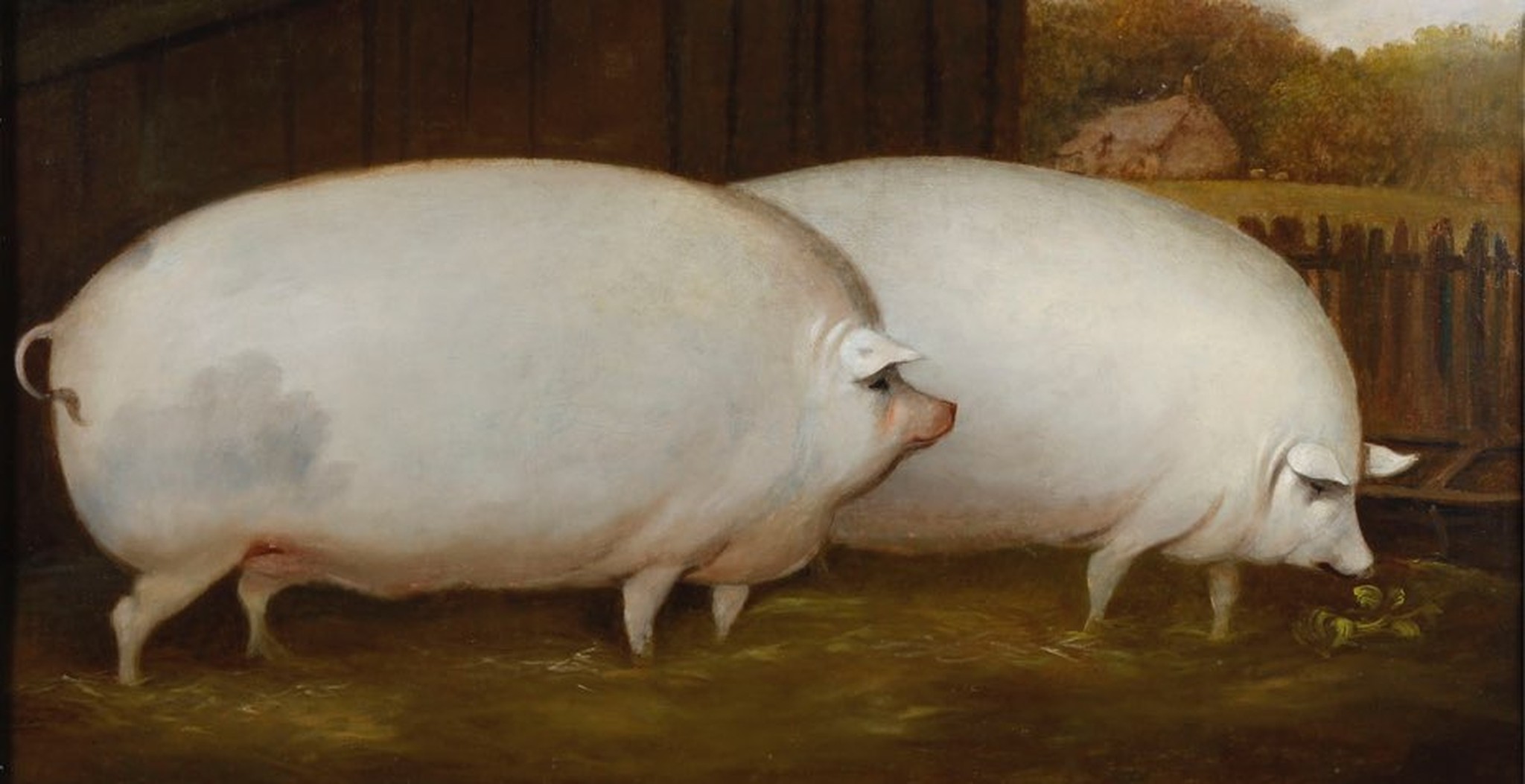 The Perfect Trip – Ode To The Pig