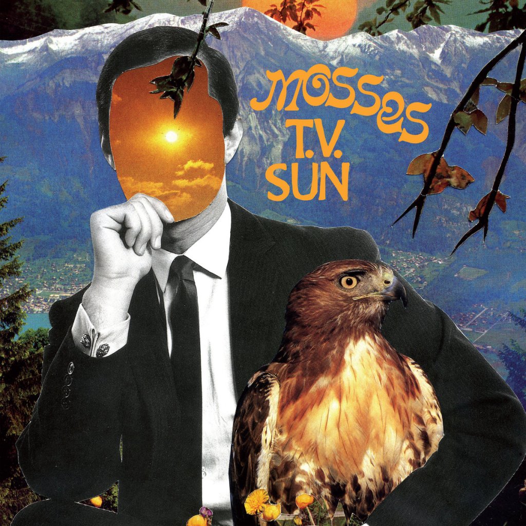 Mosses – T.V.&nbsp;Sun