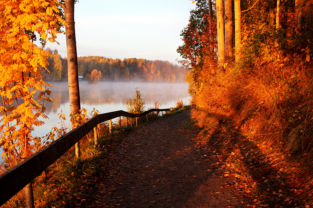 The Record Crates United Mixtape – Autumn 2020 UK Folk Special
