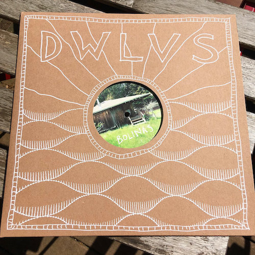 Dire Wolves Just Exactly Perfect Sisters Band – Lost Bolinas Sessions