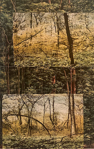 Monastics – World&nbsp;Island