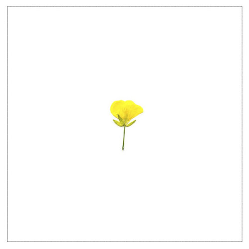 M.H.H. – Cassiope: Protection Songs for Guitar