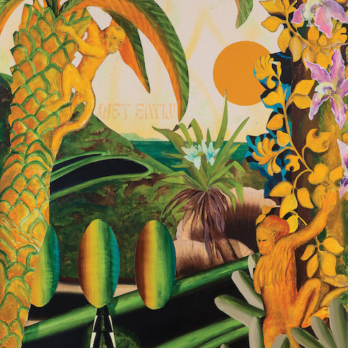 Wet Satin – Kosmische Tropicale