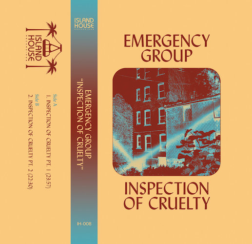 Emergency Group – Inspection Of&nbsp;Cruelty