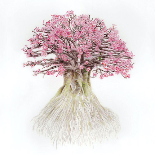 Yaryu – “Asobe”