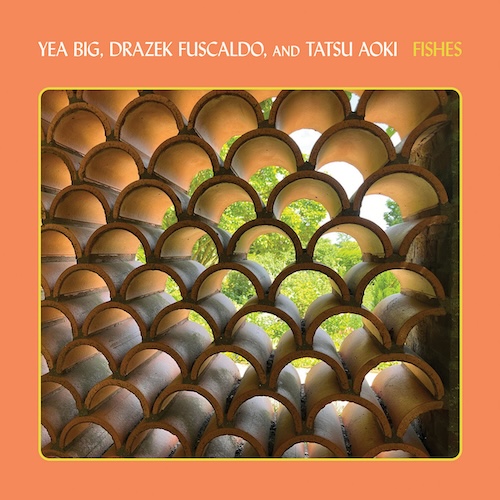 Yea Big –&nbsp;Fishes