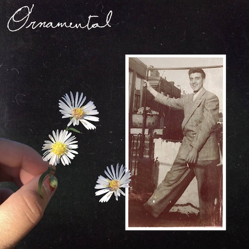 A Voice in the Pine Barrens: A Conversation with&nbsp;Ornamental