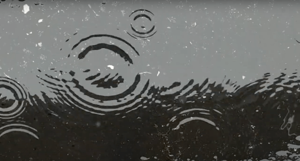 Music Video Premiere: The Royal Arctic Institute – “The&nbsp;Opener”