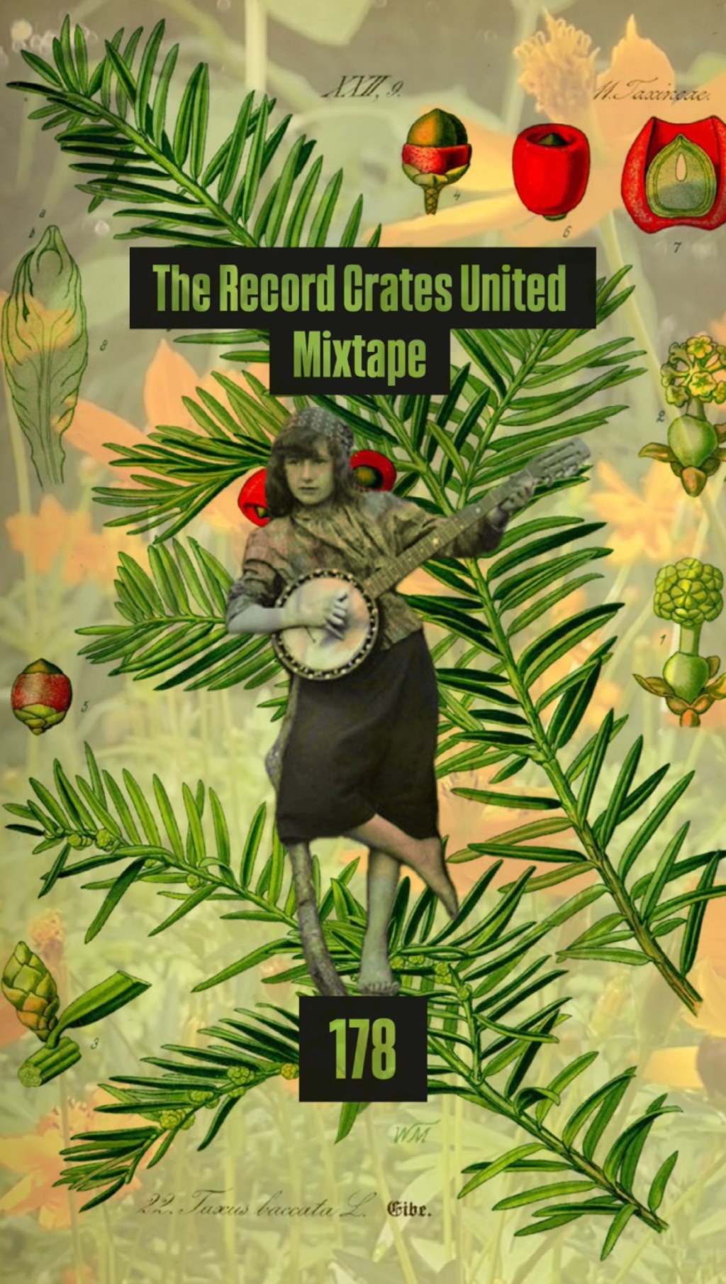 The Record Crates United Mixtape&nbsp;178