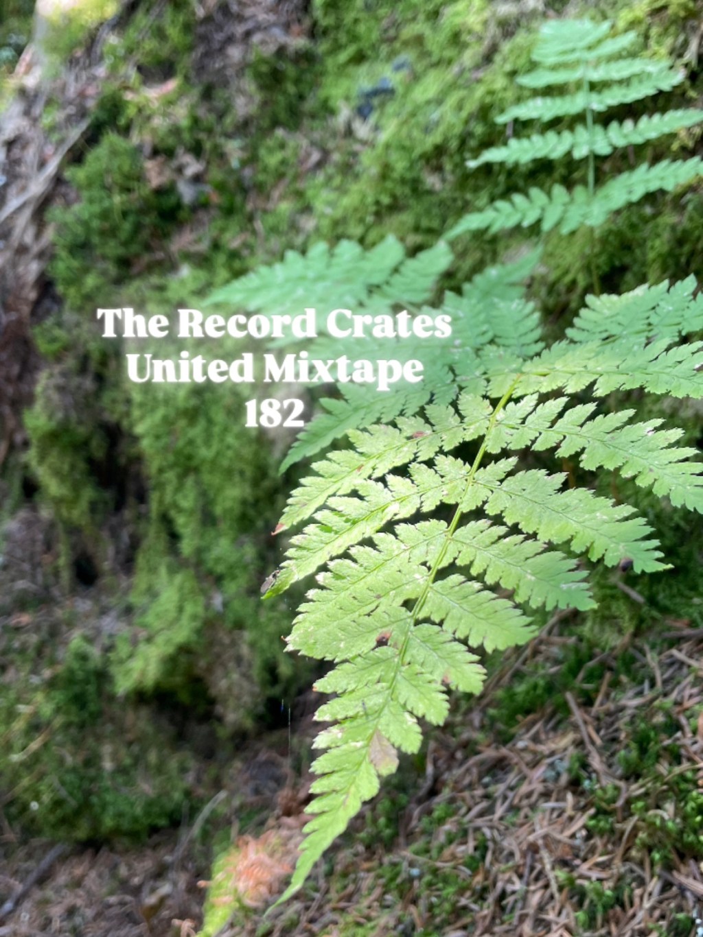 The Record Crates United Mixtape&nbsp;182
