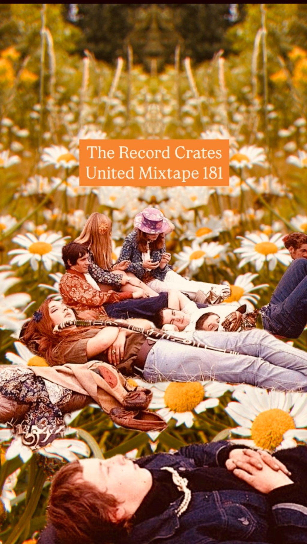 The Record Crates United&nbsp;181