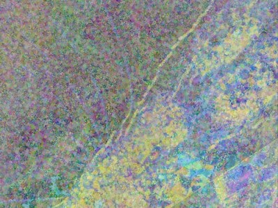 Steve Palmer – Supertramp&nbsp;Preset