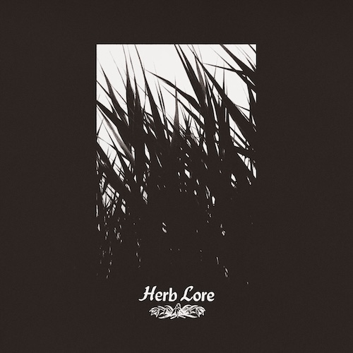 Herb Lore – Mysticism